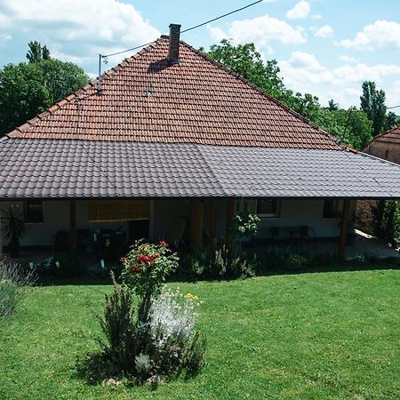 Apartmani Maslacak Vrdnik Exterior photo